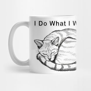 Cat i do what i want Mug